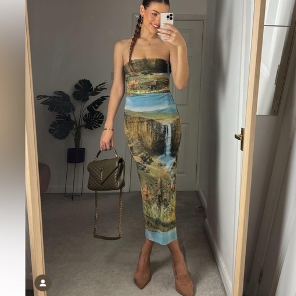 EUC ZARA Scenic Landscape Waterfall Printed Tulle Ruched Strapless Midi Dress
